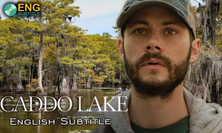 Caddo Lake (2024), English Subtitle